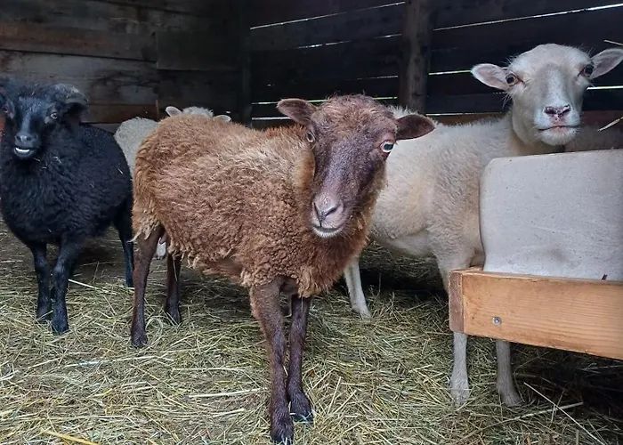 아파트 Riedhof 미에더스